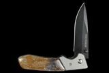 Folding Tactical Knife With Fossil Dinosaur Bone (Gembone) Inlays #127560-1